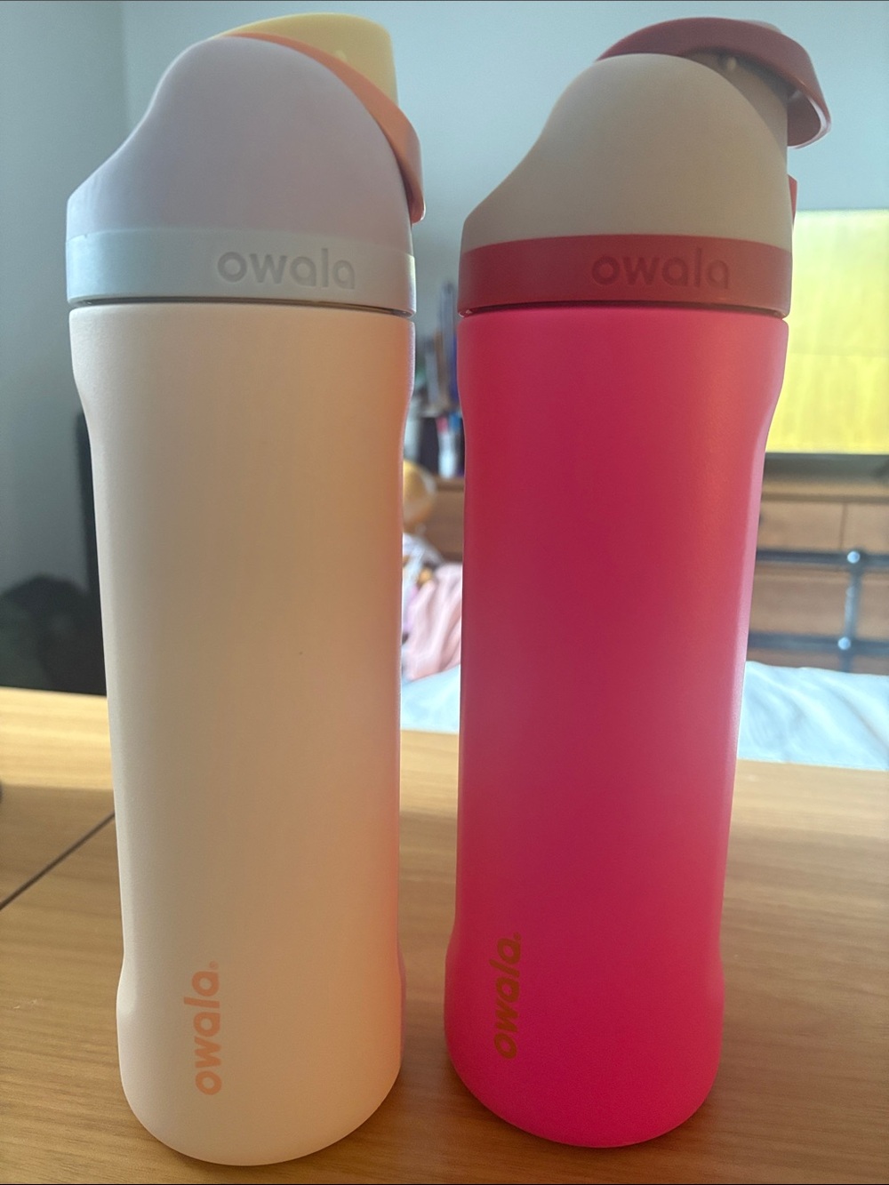 Owala Insulated Water Bottle - Pink & Cream Duo